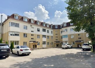 Продам 1-ком. квартиру, 40 м2, деревня Бородино, Варшавское шоссе, 77