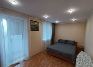 Сдам 1-ком. квартиру, 40 м2, Приморский край, Партизанский проспект, 17