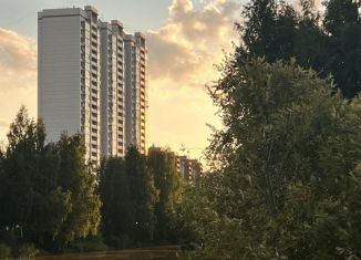 Продам квартиру студию, 26.6 м2, Санкт-Петербург, Камышовая улица, 38к1