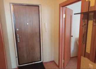 Сдам в аренду 1-ком. квартиру, 35 м2, Шебекино, улица Шолохова, 1