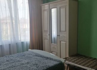 Аренда 1-ком. квартиры, 30 м2, хутор Песчаный, Екатерининская улица, 8