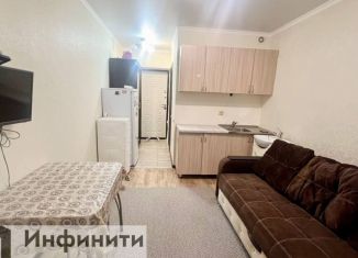 Продажа квартиры студии, 20 м2, Михайловск, улица Александра Грибоедова, 3/4