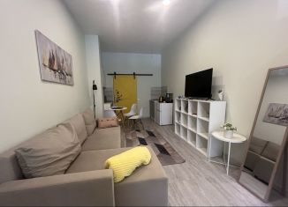 Сдам квартиру студию, 25 м2, Петергоф, Фабричная улица, 3