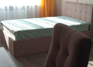 Сдается 1-ком. квартира, 40 м2, Санкт-Петербург, проспект Королёва, 34к1, метро Комендантский проспект