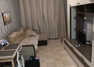 Квартира в аренду студия, 23 м2, Пермский край, улица Советской Армии, 60