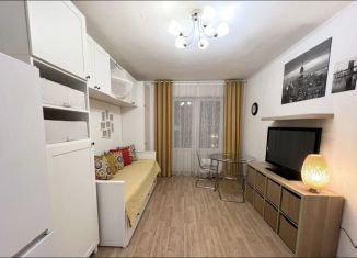 Аренда квартиры студии, 26 м2, Санкт-Петербург, проспект Ветеранов, 171к5, муниципальный округ Сосновая Поляна