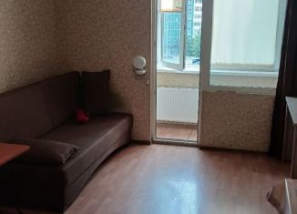 Сдаю в аренду квартиру студию, 25 м2, деревня Новое Девяткино, Главная улица, 58