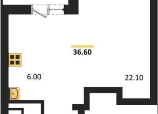 Продажа квартиры студии, 36.6 м2, Воронежская область