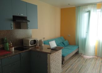 Сдаю квартиру студию, 25 м2, деревня Афонино, Академическая улица, 15