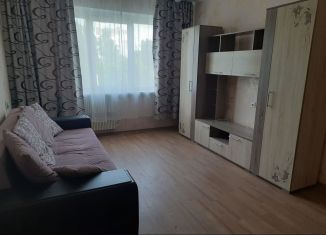 Сдается 1-ком. квартира, 40 м2, Воронеж, Коминтерновский район, улица 60-й Армии, 26