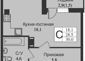 Продаю квартиру студию, 31.3 м2, Ленинградская область