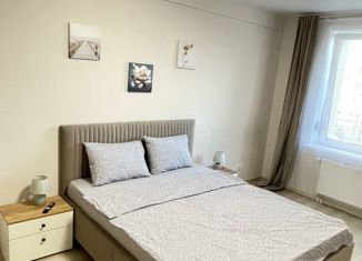 Сдам 1-комнатную квартиру, 45 м2, Пермский край, улица Луначарского, 99