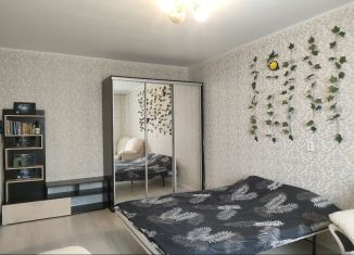 Сдам в аренду однокомнатную квартиру, 40 м2, Санкт-Петербург, улица Савушкина, 125к4, муниципальный округ № 65