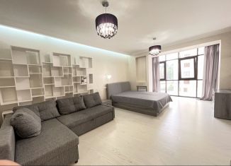 Сдача в аренду 1-комнатной квартиры, 50 м2, Сочи, Виноградная улица, 2/3, микрорайон Гагарина