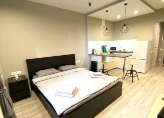 Аренда квартиры студии, 24 м2, Санкт-Петербург, улица Маршала Тухачевского, 23, улица Маршала Тухачевского