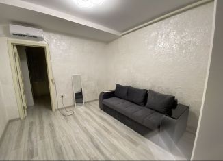 Сдача в аренду 2-комнатной квартиры, 38 м2, Махачкала, улица Заманова, 24, Кировский внутригородской район