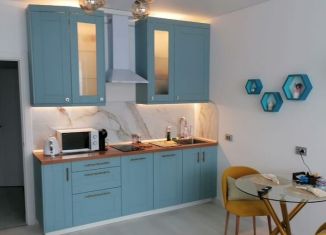 Сдача в аренду квартиры студии, 28 м2, Санкт-Петербург, проспект Будённого, 15, Красносельский район