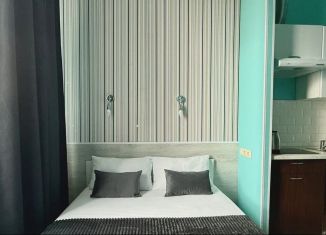 Сдам в аренду квартиру студию, 15 м2, Москва, Автозаводская улица, 23с931к3