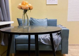 Сдается в аренду квартира студия, 18 м2, Санкт-Петербург, Средний проспект Васильевского острова, 50