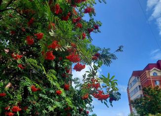 Сдам 1-комнатную квартиру, 35 м2, Томская область, Заозёрный переулок, 1/1