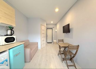 1-комнатная квартира на продажу, 18 м2, поселок городского типа Массандра, улица Умельцев, 1С, ЖК Долина Гор