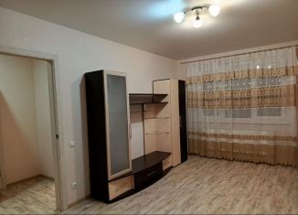 Сдаю в аренду однокомнатную квартиру, 36 м2, деревня Куюки, Школьная улица, 2