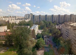 Сдаю в аренду однокомнатную квартиру, 41.6 м2, Санкт-Петербург, Ириновский проспект, 27к1