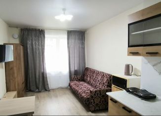 Сдача в аренду квартиры студии, 20 м2, Колпино, Балканская дорога, 10к2