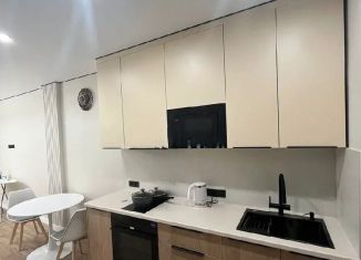 Сдам квартиру студию, 28 м2, Краснодар, ЖК Центральный, Октябрьская улица, 181/2к3