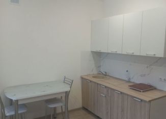 Квартира в аренду студия, 23 м2, Сыктывкар, Октябрьский проспект, 218, район Орбита