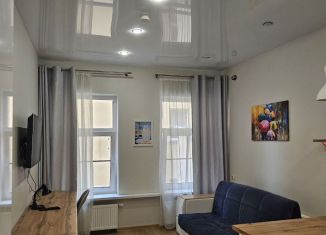 Сдача в аренду квартиры студии, 25 м2, Санкт-Петербург, Большая Разночинная улица, 6В