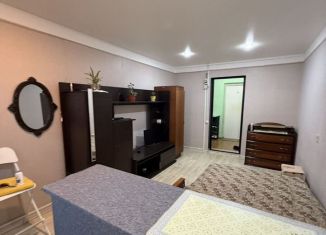 Аренда квартиры студии, 20 м2, Сочи, переулок Трунова, 7А