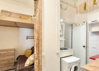 Аренда квартиры студии, 25 м2, Санкт-Петербург, Итальянская улица, 21