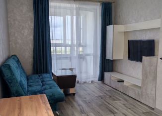 Сдача в аренду 1-комнатной квартиры, 41 м2, Республика Башкортостан, улица Даяна Мурзина, 5/1