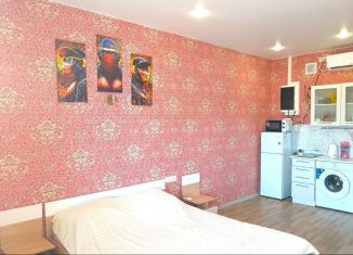 Сдается в аренду квартира студия, 25 м2, Севастополь, проспект Генерала Острякова, 237А