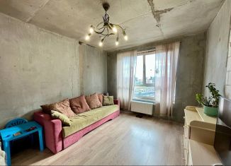 1-ком. квартира на продажу, 45.6 м2, городской посёлок Новоселье, Центральная улица, 10к1, ЖК Эпсилон