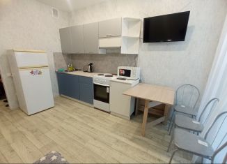 Сдается 1-комнатная квартира, 30 м2, Тобольск, ЖК Иртыш, микрорайон Центральный, 28