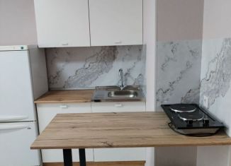 Аренда квартиры студии, 22.5 м2, Республика Башкортостан, улица Лётчика Кобелева, 1