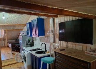 Сдача в аренду квартиры студии, 45 м2, Сириус, Приреченская улица, 1