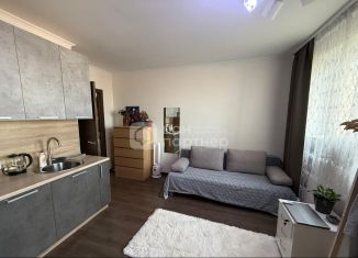 Продажа квартиры студии, 22.4 м2, посёлок Парголово, Толубеевский проезд, 20к1