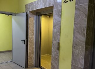 Квартира на продажу студия, 18.4 м2, Нижегородская область, улица Красная Поляна, 7