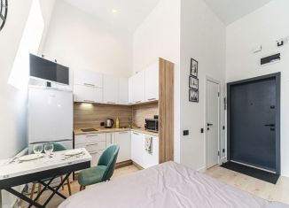 Сдается в аренду квартира студия, 20.5 м2, Санкт-Петербург, 4-я линия Васильевского острова, 51