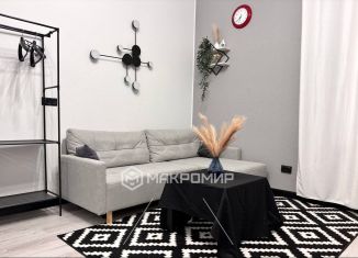 Сдам в аренду квартиру студию, 25 м2, Санкт-Петербург, Кронверкский проспект, 47, муниципальный округ Кронверкское