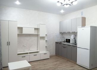 Сдается квартира студия, 28 м2, Курган, 7-й микрорайон, 12