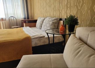 Сдается в аренду однокомнатная квартира, 28 м2, Камышлов, улица Энгельса, 205