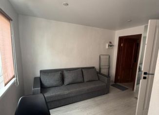 Сдаю квартиру студию, 20 м2, Сириус, Приреченская улица, 1