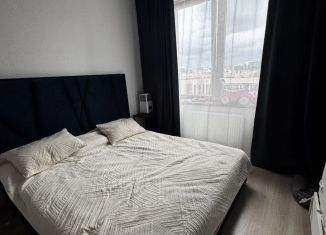 Продажа однокомнатной квартиры, 35.8 м2, Мурино, Екатерининская улица, 6к1, ЖК Виктория