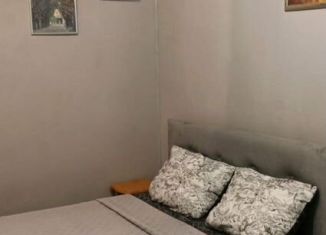 Аренда квартиры студии, 20 м2, Сочи, улица Чебрикова, 36, микрорайон Ареда