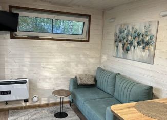 Аренда дома, 22 м2, деревня Бакино, Зареченская улица, 33