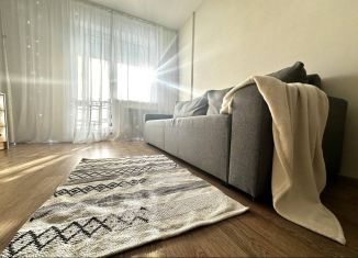 Сдается квартира студия, 31 м2, Новосибирск, Покатная улица, 130/1, Октябрьский район